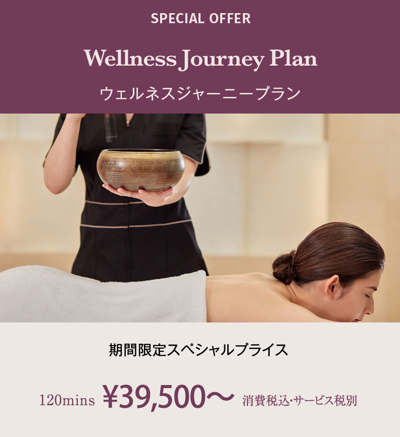 Wellness Journey plan